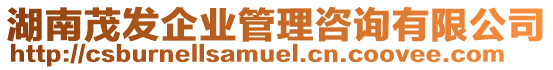 湖南茂發(fā)企業(yè)管理咨詢(xún)有限公司