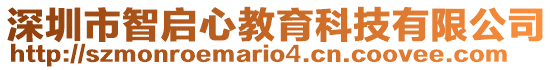 深圳市智啟心教育科技有限公司