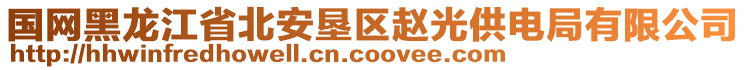 國(guó)網(wǎng)黑龍江省北安墾區(qū)趙光供電局有限公司