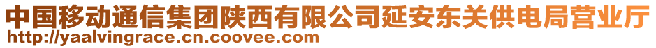 中國移動通信集團陜西有限公司延安東關供電局營業(yè)廳