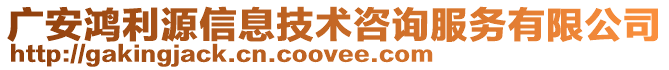 廣安鴻利源信息技術咨詢服務有限公司