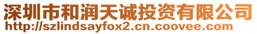 深圳市和潤天誠投資有限公司