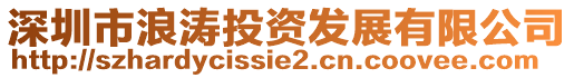 深圳市浪濤投資發(fā)展有限公司