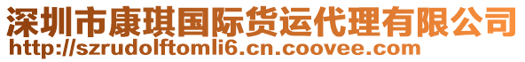 深圳市康琪國際貨運代理有限公司