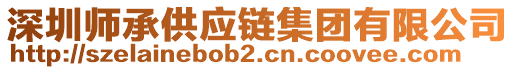 深圳師承供應(yīng)鏈集團有限公司