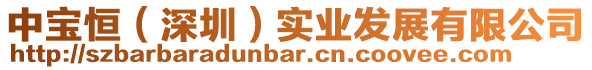 中寶恒(深圳)實業發展有限公司