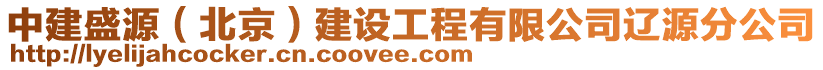 中建盛源（北京）建設(shè)工程有限公司遼源分公司