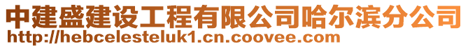 中建盛建設(shè)工程有限公司哈爾濱分公司