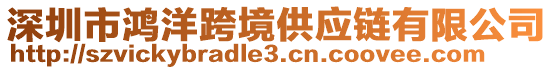 深圳市鴻洋跨境供應(yīng)鏈有限公司