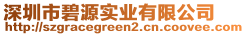 深圳市碧源實(shí)業(yè)有限公司