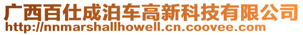 廣西百仕成泊車高新科技有限公司