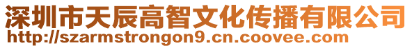 深圳市天辰高智文化傳播有限公司