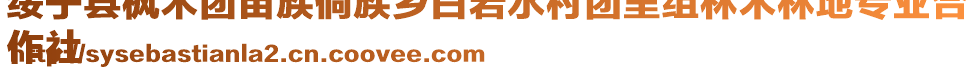 綏寧縣楓木團(tuán)苗族侗族鄉(xiāng)白巖水村團(tuán)里組林木林地專業(yè)合
作社