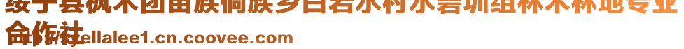 綏寧縣楓木團苗族侗族鄉(xiāng)白巖水村水碧圳組林木林地專業(yè)
合作社