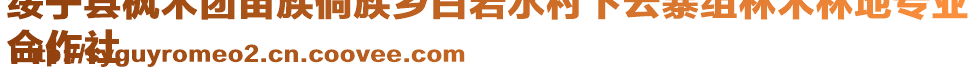 綏寧縣楓木團苗族侗族鄉(xiāng)白巖水村下云寨組林木林地專業(yè)
合作社