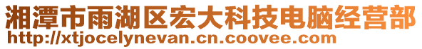 湘潭市雨湖區(qū)宏大科技電腦經營部