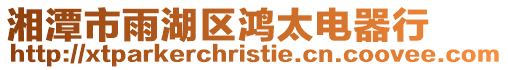 湘潭市雨湖區(qū)鴻太電器行