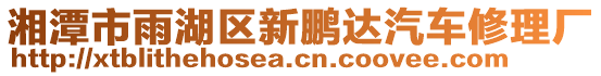 湘潭市雨湖區(qū)新鵬達(dá)汽車修理廠