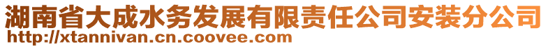 湖南省大成水務(wù)發(fā)展有限責(zé)任公司安裝分公司