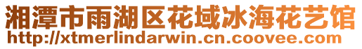 湘潭市雨湖區(qū)花域冰海花藝館