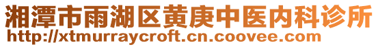 湘潭市雨湖區(qū)黃庚中醫(yī)內(nèi)科診所