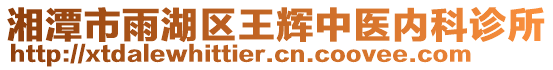 湘潭市雨湖區(qū)王輝中醫(yī)內(nèi)科診所