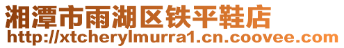 湘潭市雨湖區(qū)鐵平鞋店