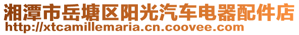 湘潭市岳塘區(qū)陽光汽車電器配件店