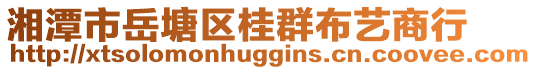 湘潭市岳塘區(qū)桂群布藝商行