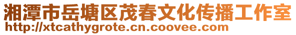 湘潭市岳塘區(qū)茂春文化傳播工作室