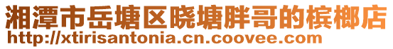 湘潭市岳塘區(qū)曉塘胖哥的檳榔店