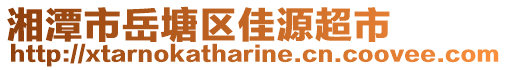 湘潭市岳塘區(qū)佳源超市