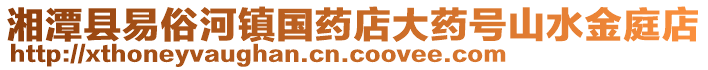 湘潭縣易俗河鎮(zhèn)國(guó)藥店大藥號(hào)山水金庭店