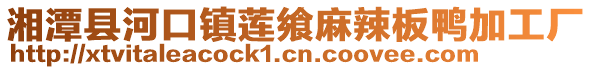 湘潭縣河口鎮蓮饗麻辣板鴨加工廠