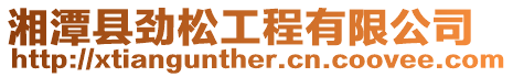 湘潭縣勁松工程有限公司
