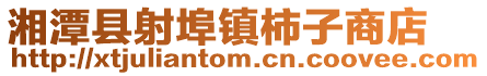 湘潭縣射埠鎮柿子商店