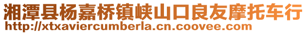 湘潭縣楊嘉橋鎮(zhèn)峽山口良友摩托車行