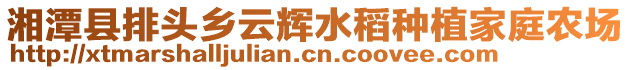 湘潭縣排頭鄉(xiāng)云輝水稻種植家庭農場