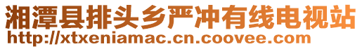 湘潭縣排頭鄉(xiāng)嚴(yán)沖有線電視站