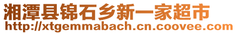 湘潭縣錦石鄉(xiāng)新一家超市