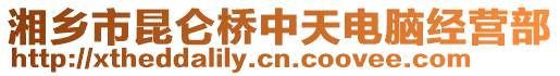 湘鄉(xiāng)市昆侖橋中天電腦經(jīng)營部