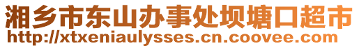 湘鄉(xiāng)市東山辦事處壩塘口超市