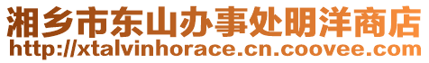 湘鄉(xiāng)市東山辦事處明洋商店