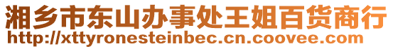 湘鄉(xiāng)市東山辦事處王姐百貨商行