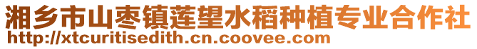 湘鄉(xiāng)市山棗鎮(zhèn)蓮?fù)痉N植專業(yè)合作社