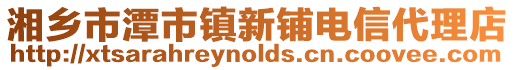 湘鄉市潭市鎮新鋪電信代理店