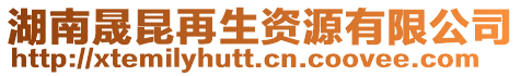 湖南晟昆再生資源有限公司