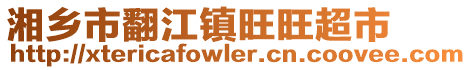 湘鄉(xiāng)市翻江鎮(zhèn)旺旺超市