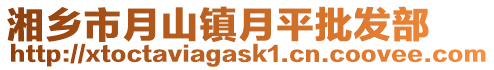 湘鄉(xiāng)市月山鎮(zhèn)月平批發(fā)部