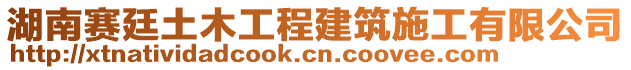 湖南賽廷土木工程建筑施工有限公司